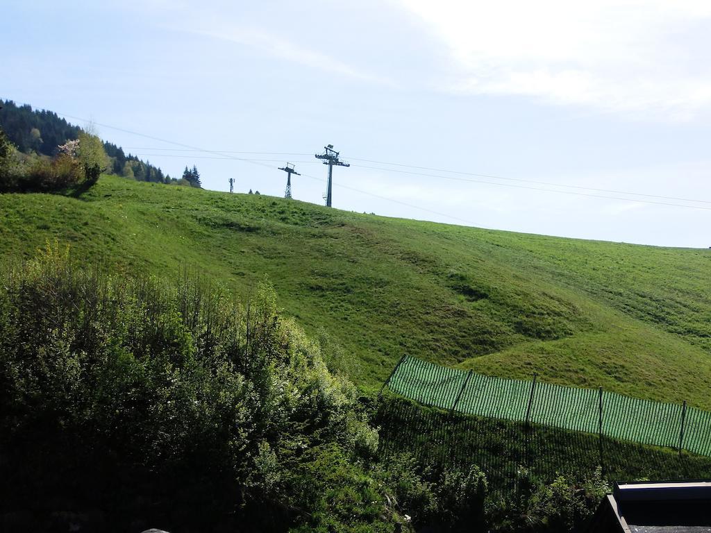 Haus Bergheim Apartman Saalbach Hinterglemm Kültér fotó