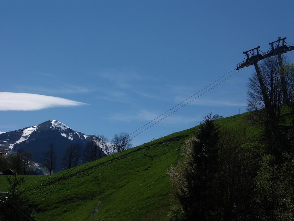 Haus Bergheim Apartman Saalbach Hinterglemm Kültér fotó