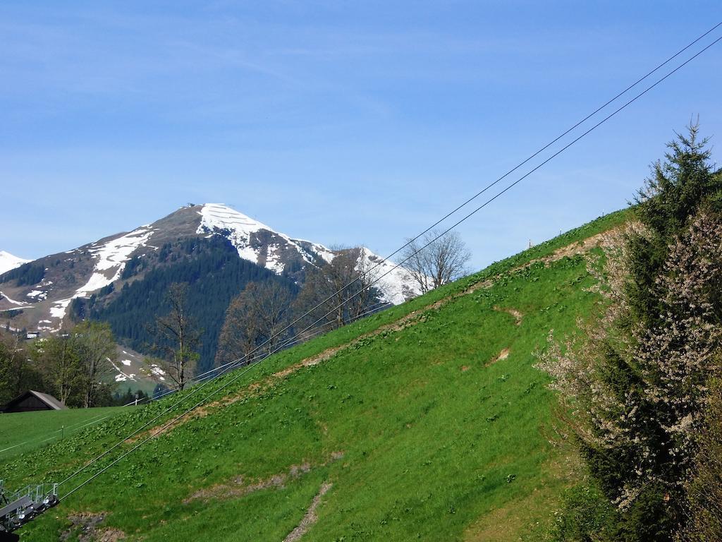 Haus Bergheim Apartman Saalbach Hinterglemm Kültér fotó